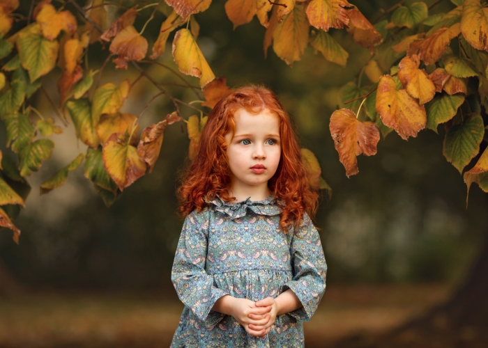 PresserM-AutumnColors-Color